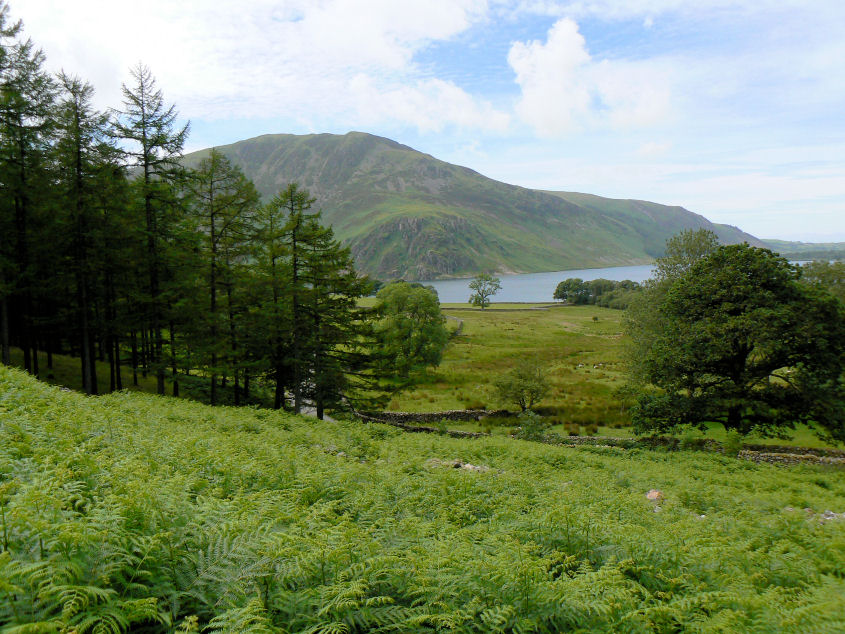 Crag Fell Crag Fell